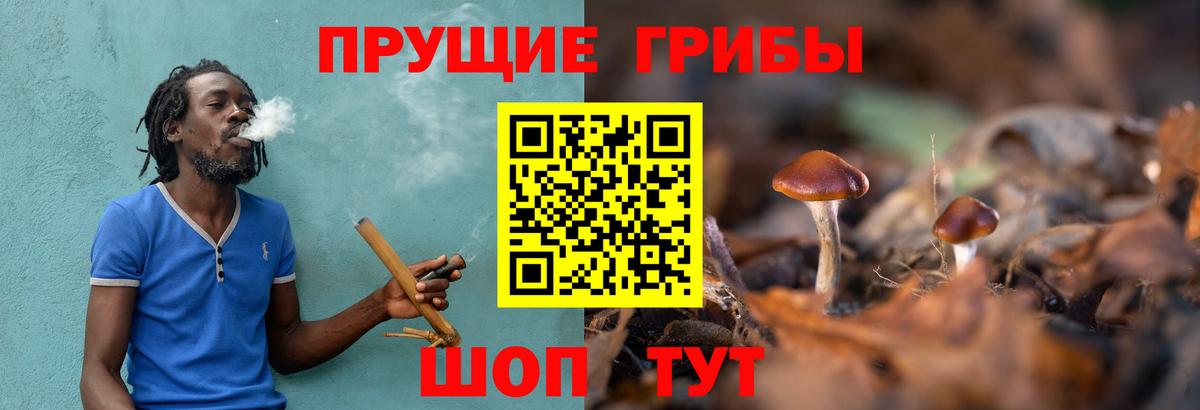 Псилоцибиновые грибы прущие грибы  Вход с VPN  Лесозаводск 